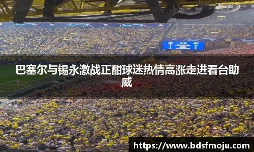 巴塞尔与锡永激战正酣球迷热情高涨走进看台助威